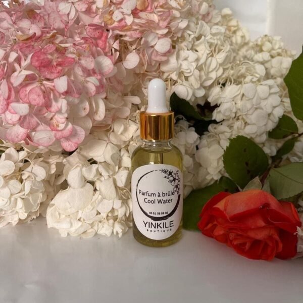 Huile à brûler Cool Water - Fragrance huile essentielle