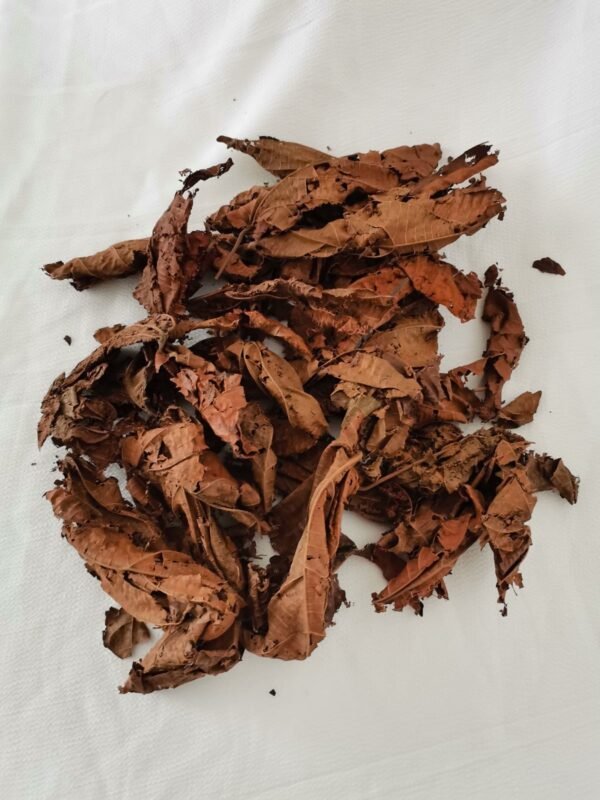 Feuilles de Djeka – Image 2