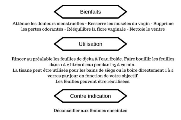 Feuilles de Djeka – Image 4