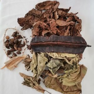 Kit fertilité, khamaré, Racine de vétiver, quatre côté, gueni, feuille de manguier
