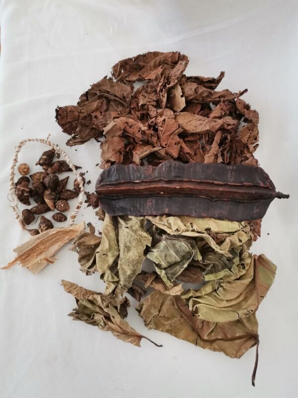 Kit fertilité, khamaré, Racine de vétiver, quatre côté, gueni, feuille de manguier