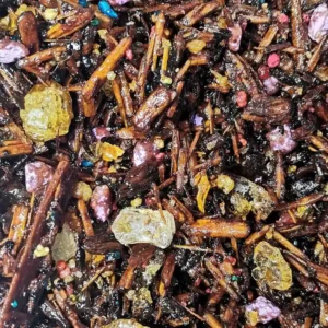 Encens Thiouraye moderne encens sacré, encens pontifical, encens de purification, protection, désenvoutement